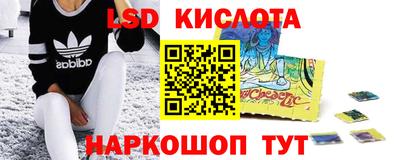 apvp Гусев