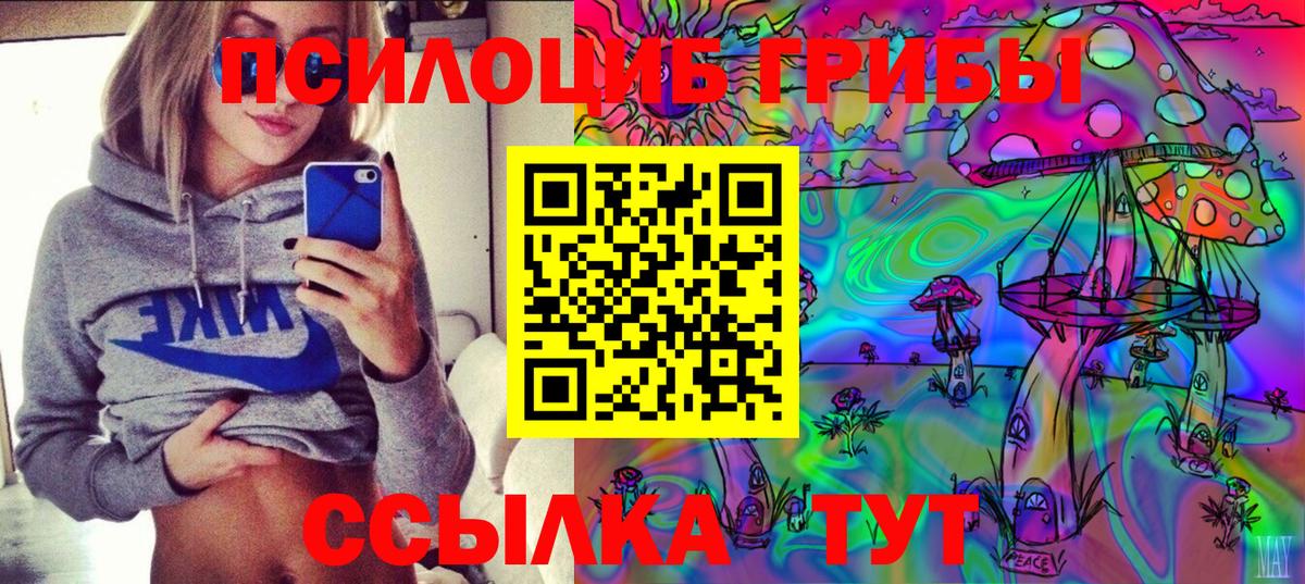 Галлюциногенные грибы Psilocybine cubensis Нижневартовск