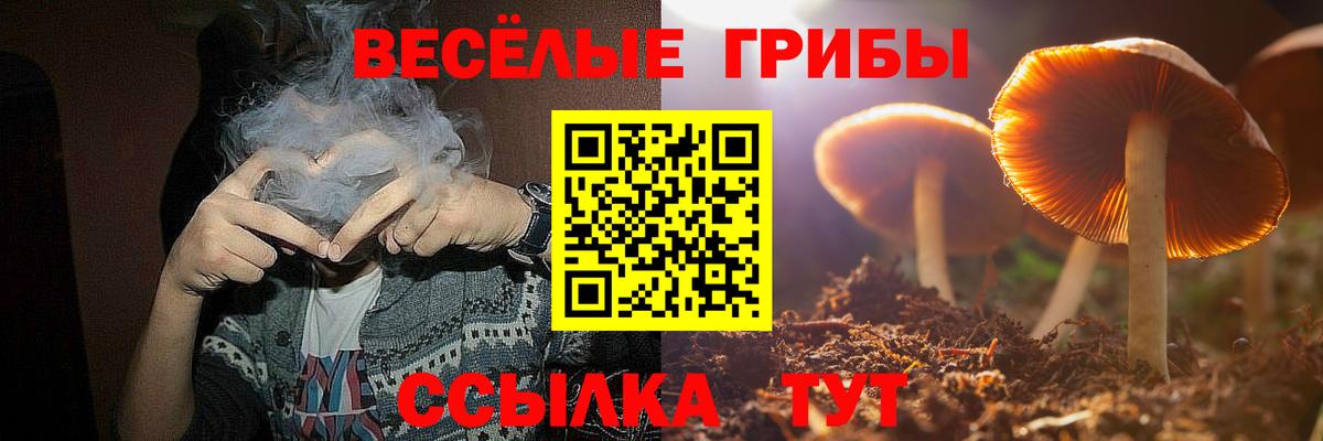 Псилоцибиновые грибы прущие грибы  Вход с VPN  Нижневартовск 
